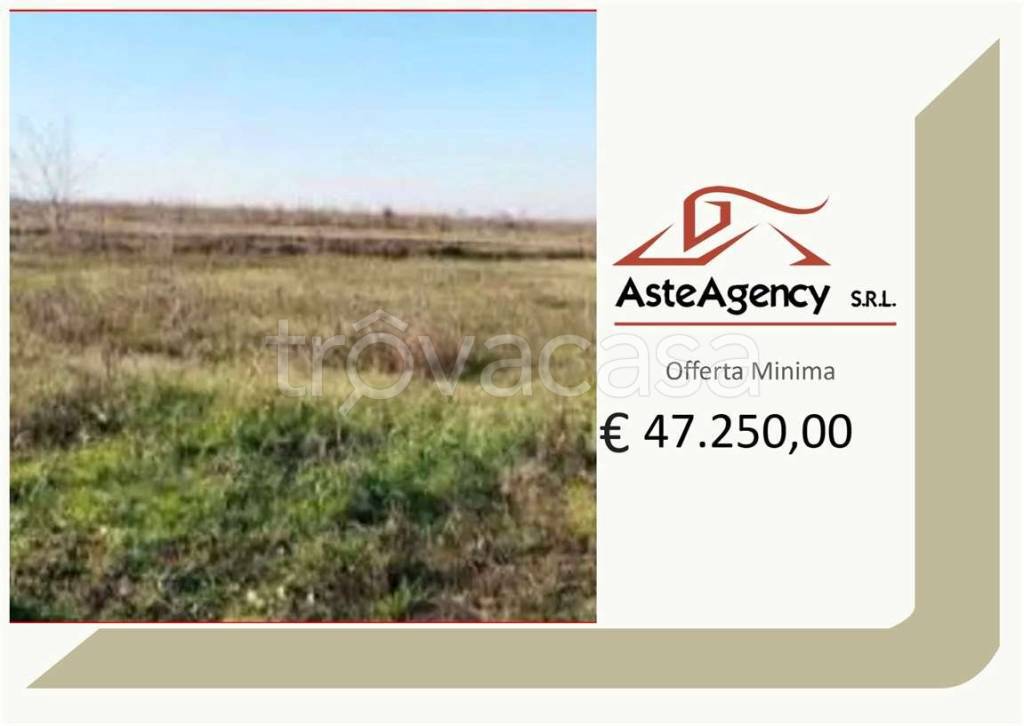 terreno agricolo in vendita a Nogara in zona Caselle