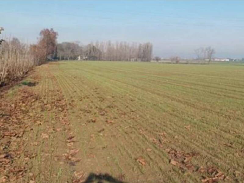 terreno edificabile in vendita a Nogara in zona Caselle