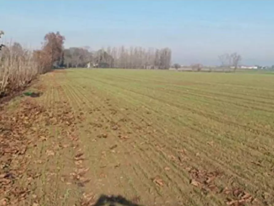 mansarda in vendita a Nogara in zona Caselle