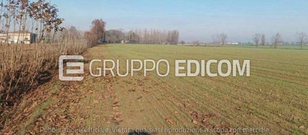 terreno agricolo in vendita a Nogara