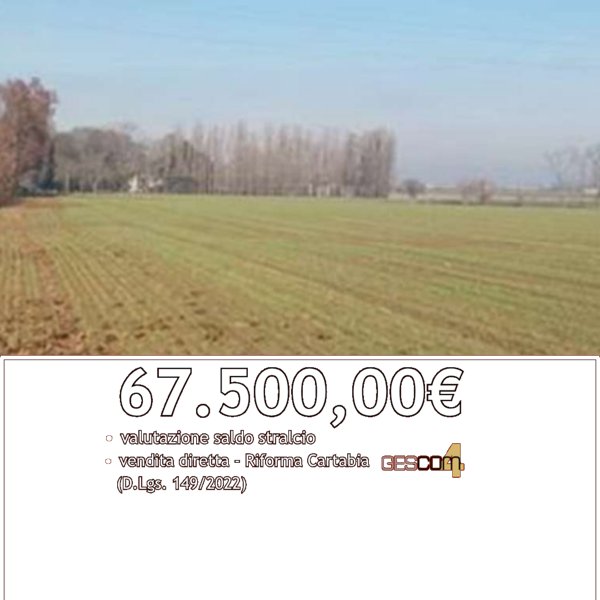 terreno in vendita a Nogara in zona Brancon