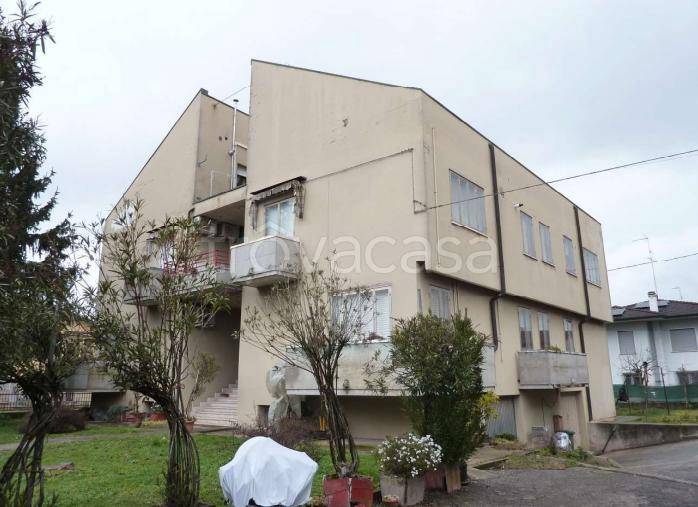 appartamento in vendita a Nogara in zona Caselle