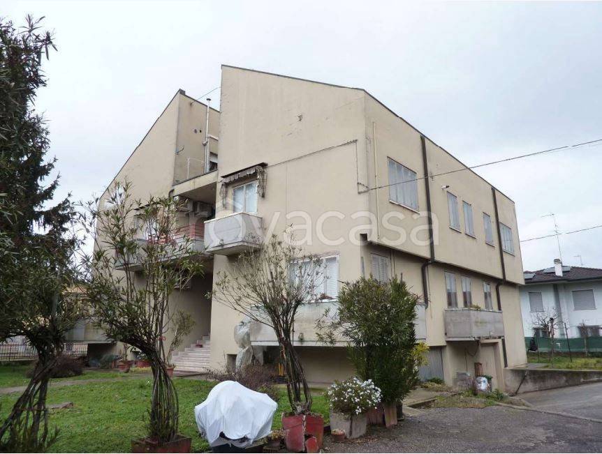 appartamento in vendita a Nogara in zona Caselle