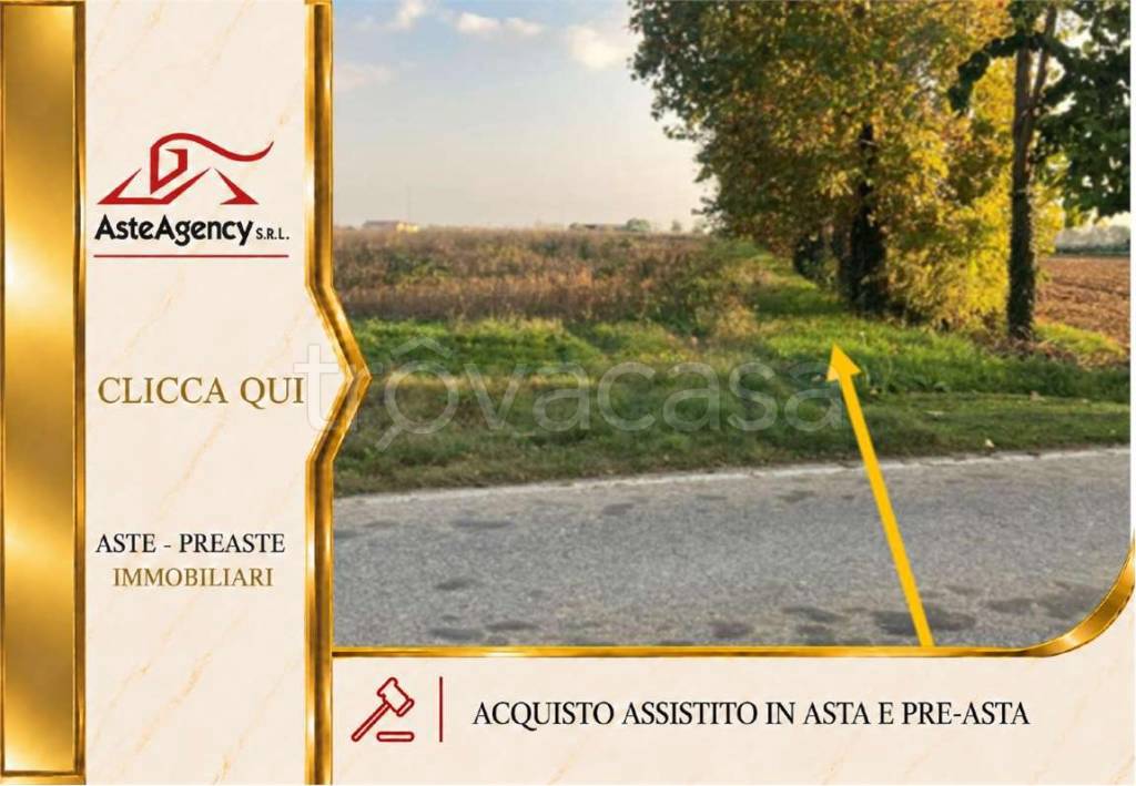terreno in vendita a Nogara in zona Brancon