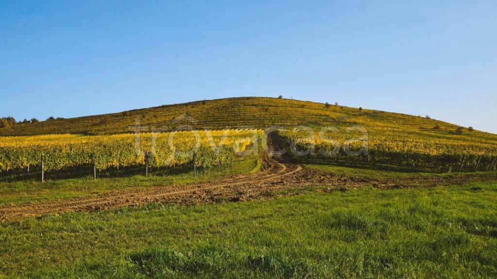 terreno in vendita a Nogara in zona Brancon