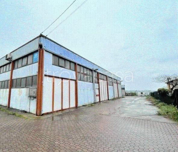 locale commerciale in vendita a Nogarole Rocca