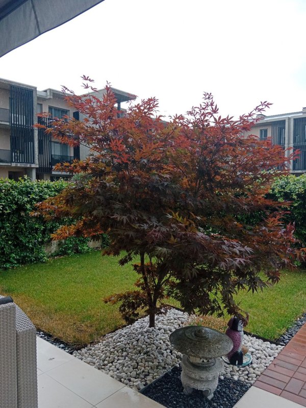 appartamento in vendita a Nogarole Rocca in zona Pradelle