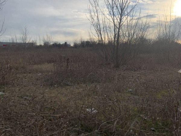 terreno agricolo in vendita ad Oppeano
