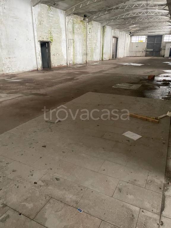 terreno edificabile in vendita ad Oppeano in zona Mazzantica