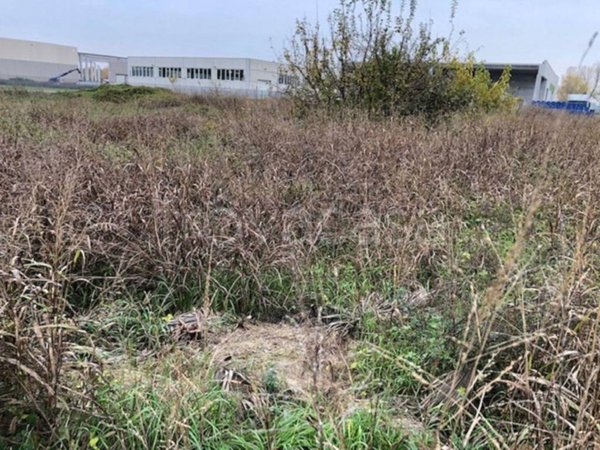 terreno edificabile in vendita ad Oppeano