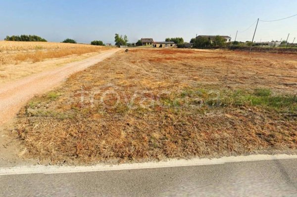 terreno agricolo in vendita ad Oppeano
