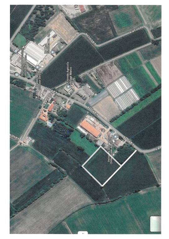 terreno agricolo in vendita ad Oppeano