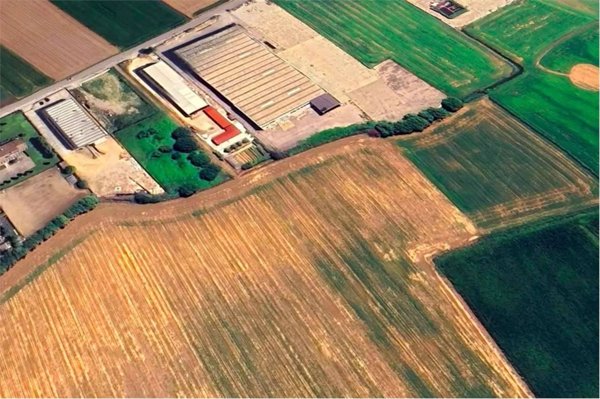 terreno agricolo in vendita ad Oppeano