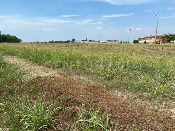 terreno edificabile in vendita ad Oppeano in zona Mazzantica