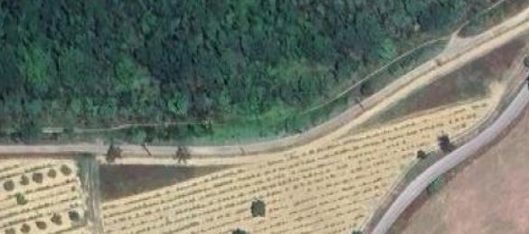 terreno agricolo in vendita ad Oppeano