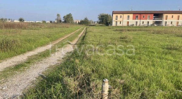 terreno agricolo in vendita ad Oppeano in zona Mazzantica