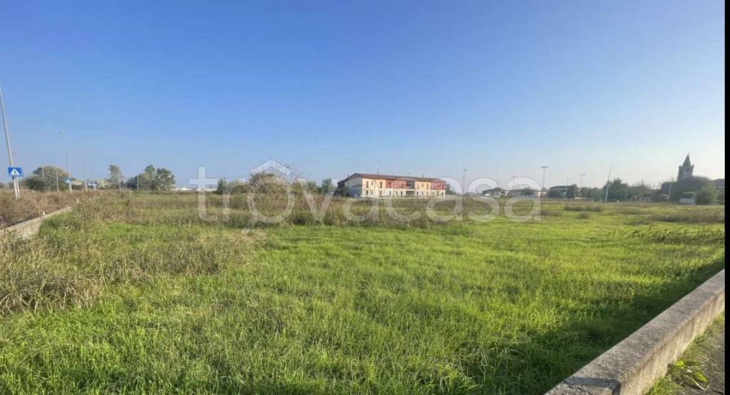 terreno agricolo in vendita ad Oppeano in zona Mazzantica