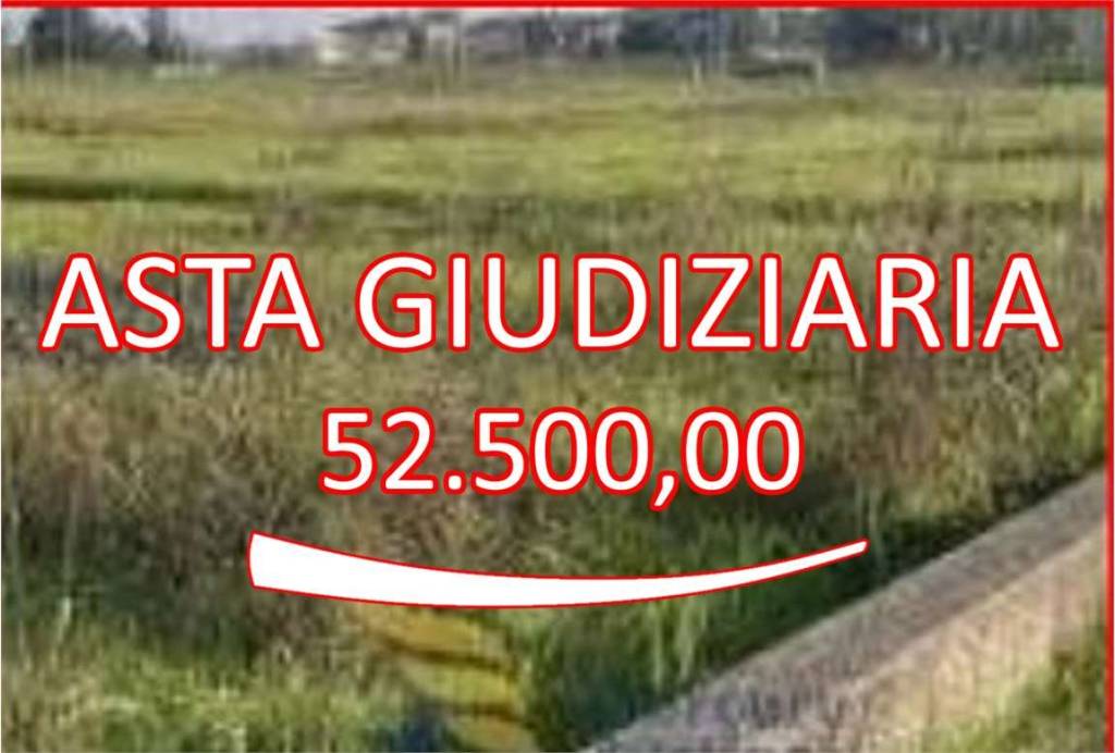 terreno agricolo in vendita ad Oppeano in zona Mazzantica