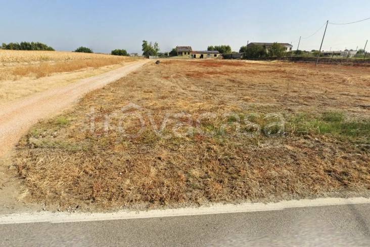 terreno agricolo in vendita ad Oppeano