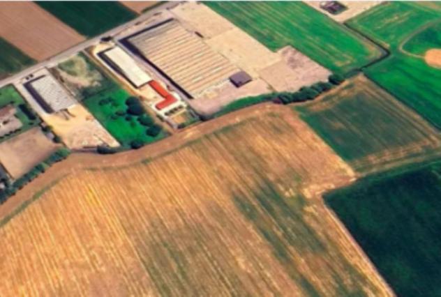 terreno agricolo in vendita ad Oppeano