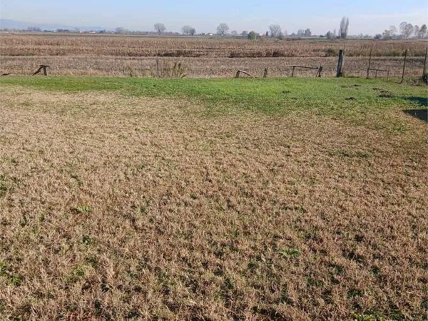 terreno edificabile in vendita ad Oppeano