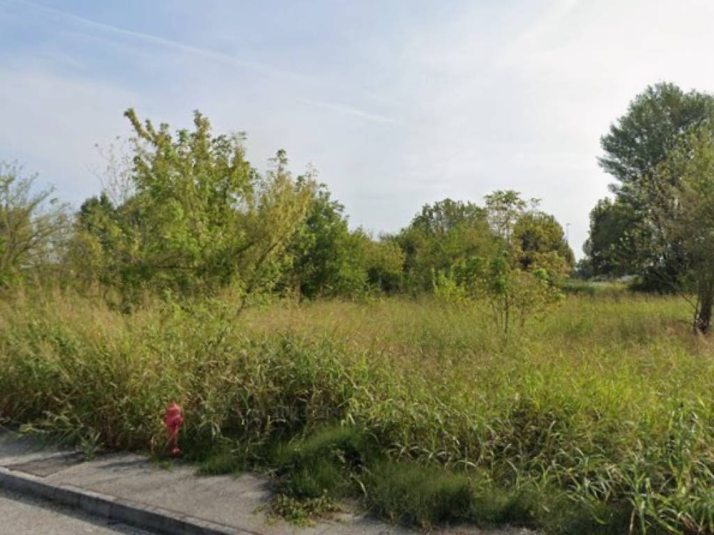 terreno agricolo in vendita ad Oppeano