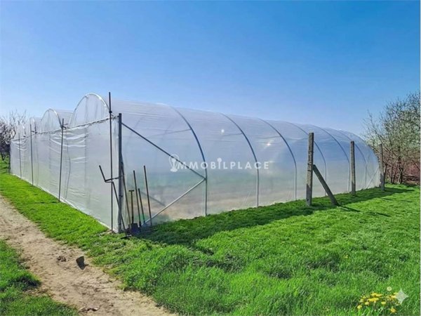 terreno agricolo in vendita ad Oppeano