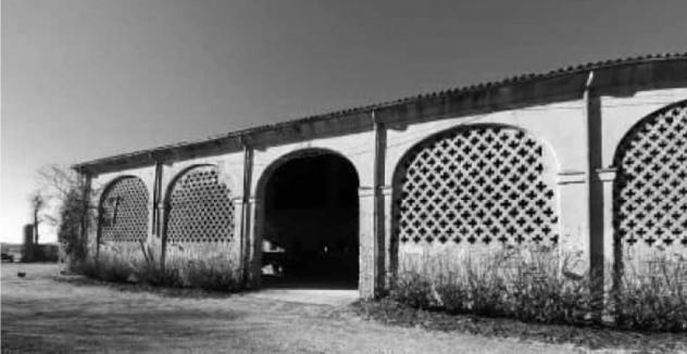 terreno edificabile in vendita a Palù