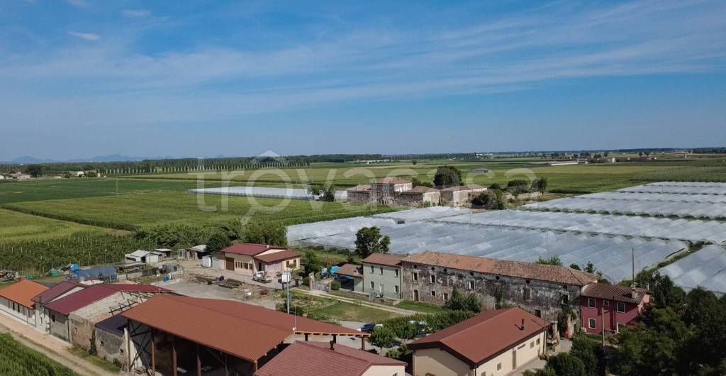 casa indipendente in vendita a Palù