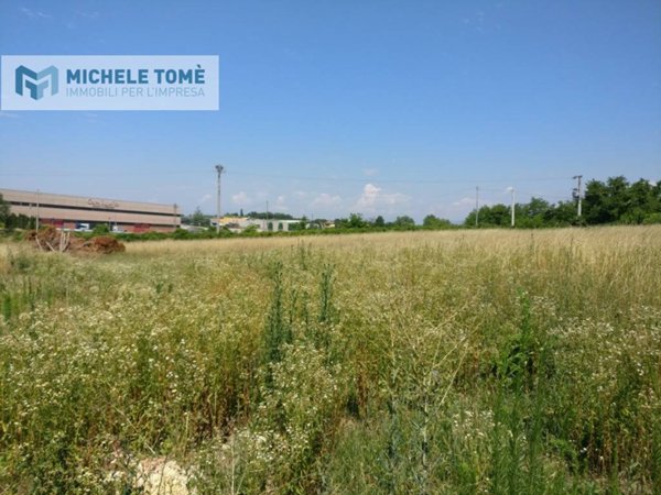 terreno agricolo in vendita a Pastrengo