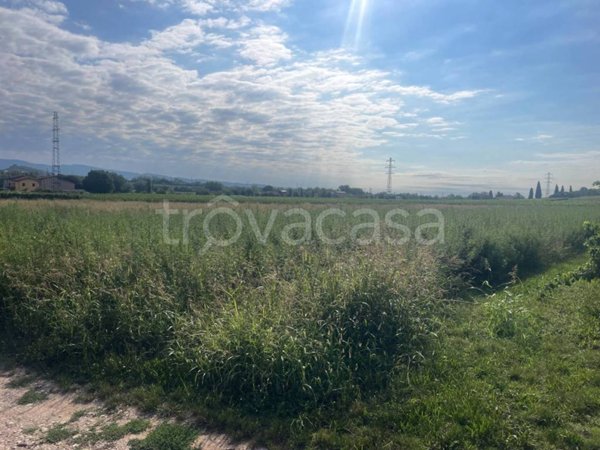 terreno agricolo in vendita a Pastrengo
