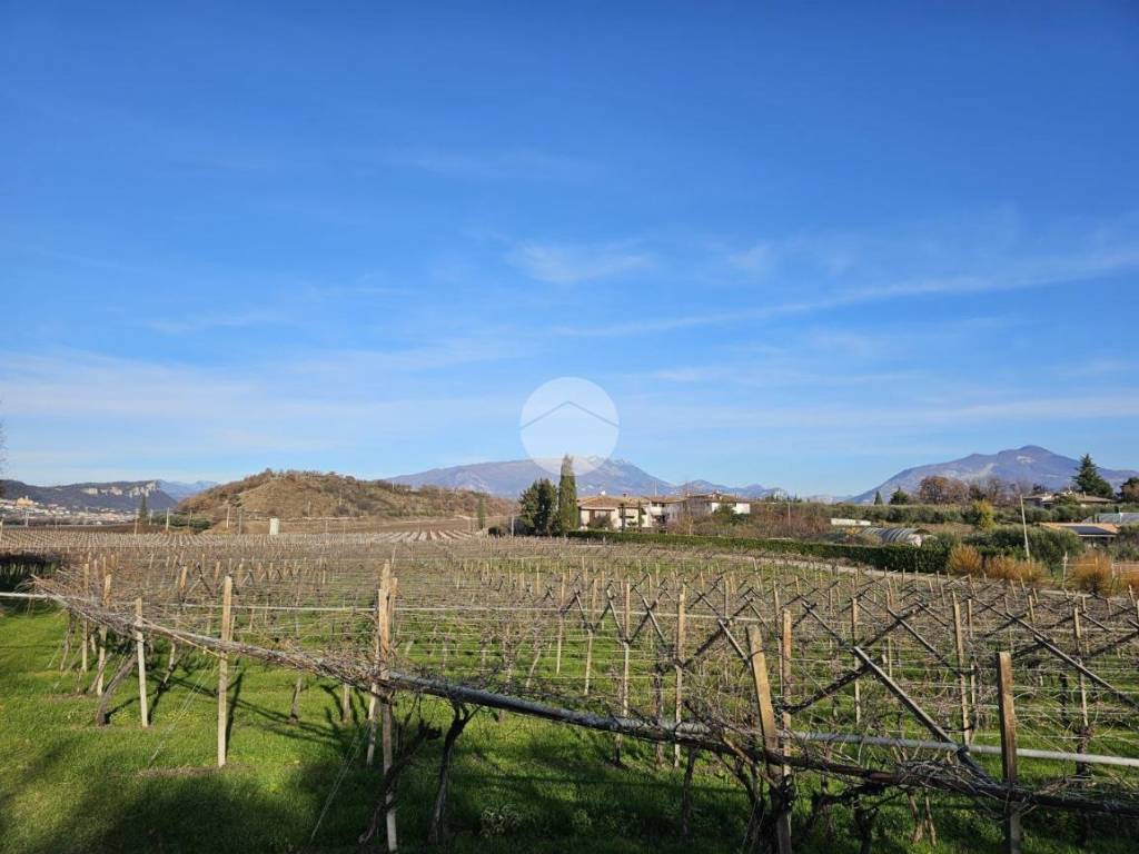 terreno agricolo in vendita a Pastrengo