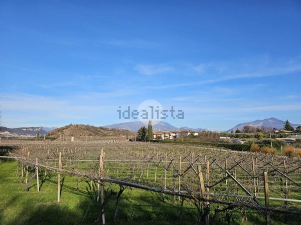 terreno agricolo in vendita a Pastrengo