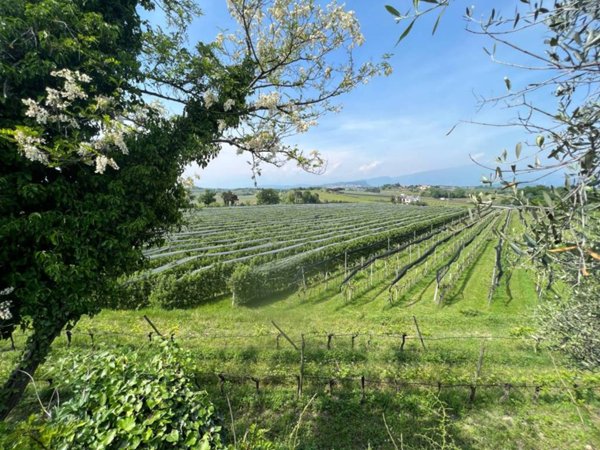 terreno agricolo in vendita a Pastrengo