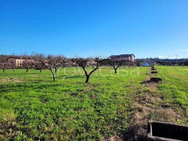 terreno agricolo in vendita a Pescantina in zona Settimo