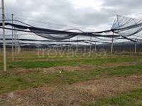 terreno agricolo in vendita a Pescantina