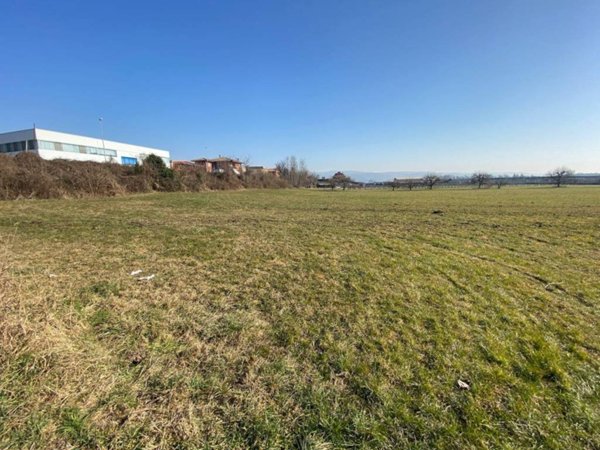 terreno agricolo in vendita a Pescantina in zona Settimo