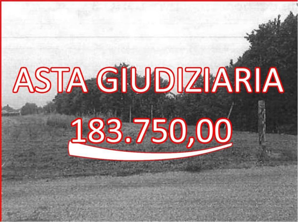 appartamento in vendita a Pescantina