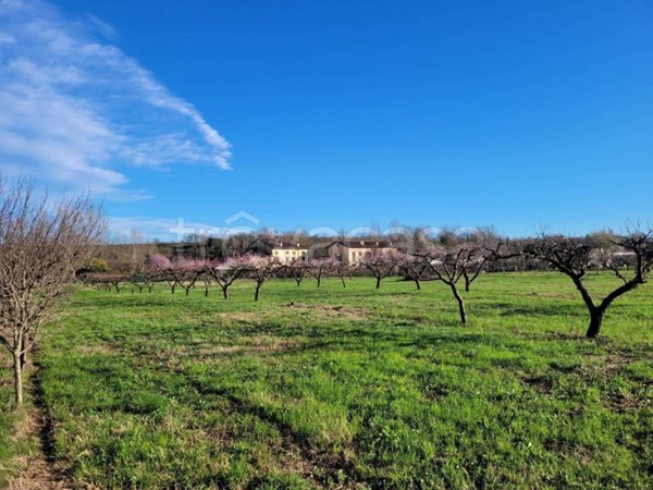 terreno agricolo in vendita a Pescantina in zona Settimo