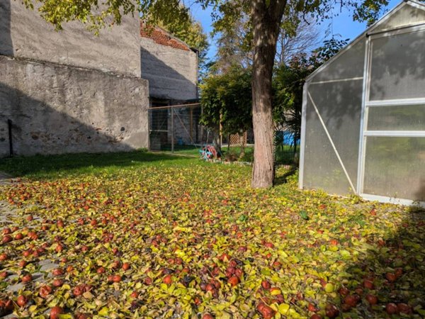 casa indipendente in vendita a Pescantina