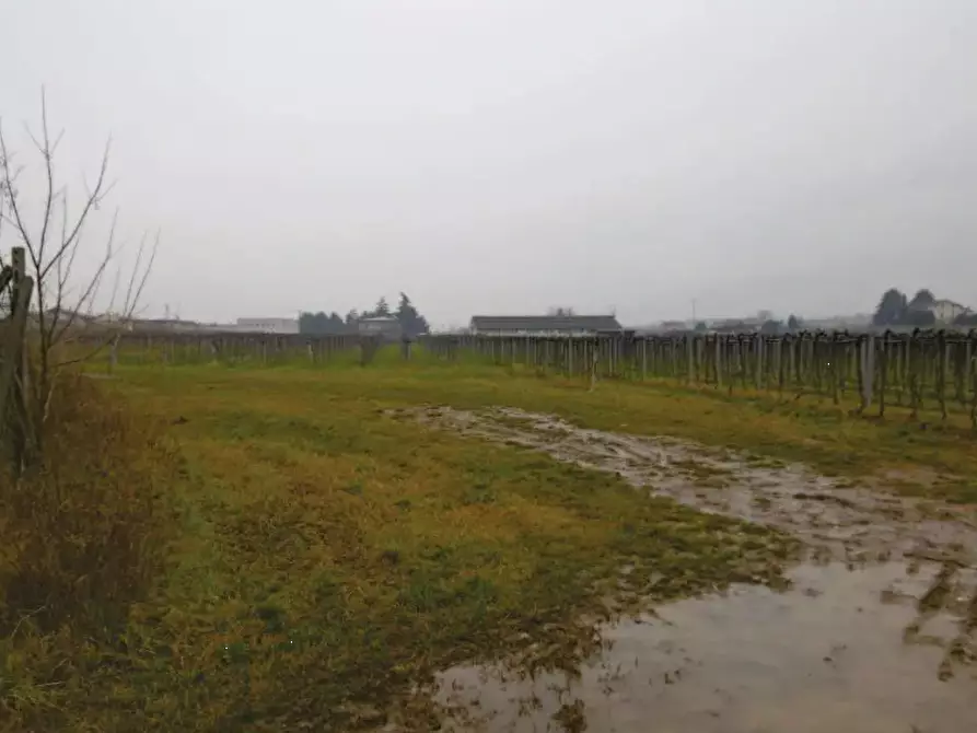 terreno agricolo in vendita a Pescantina