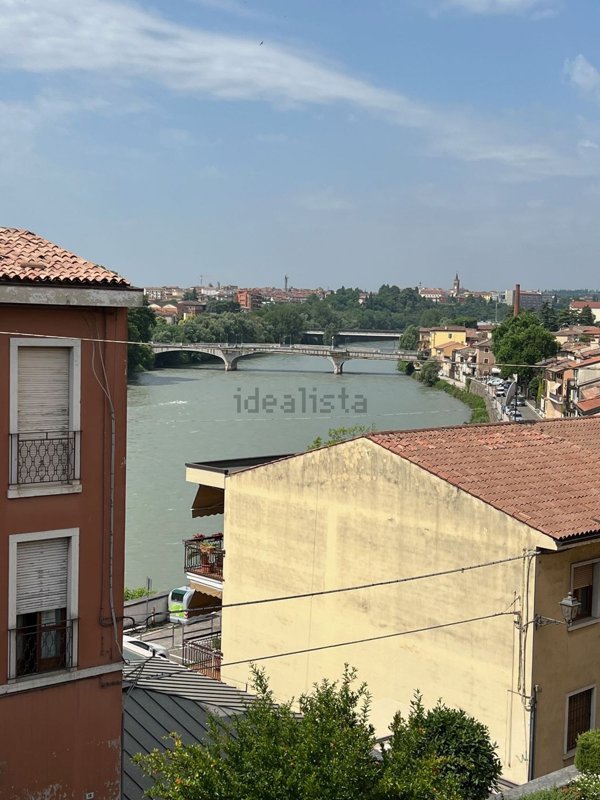 esavano in vendita a Pescantina