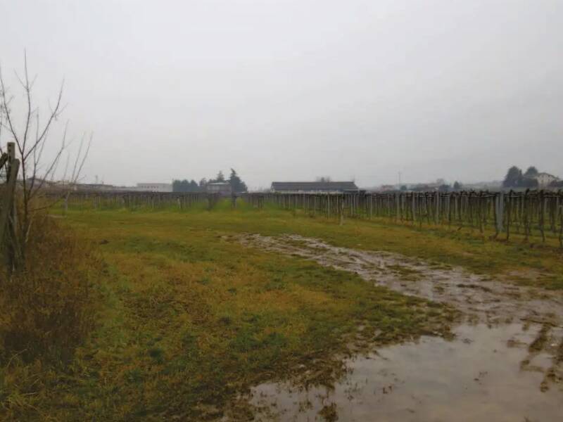 terreno agricolo in vendita a Pescantina
