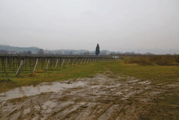 terreno agricolo in vendita a Pescantina