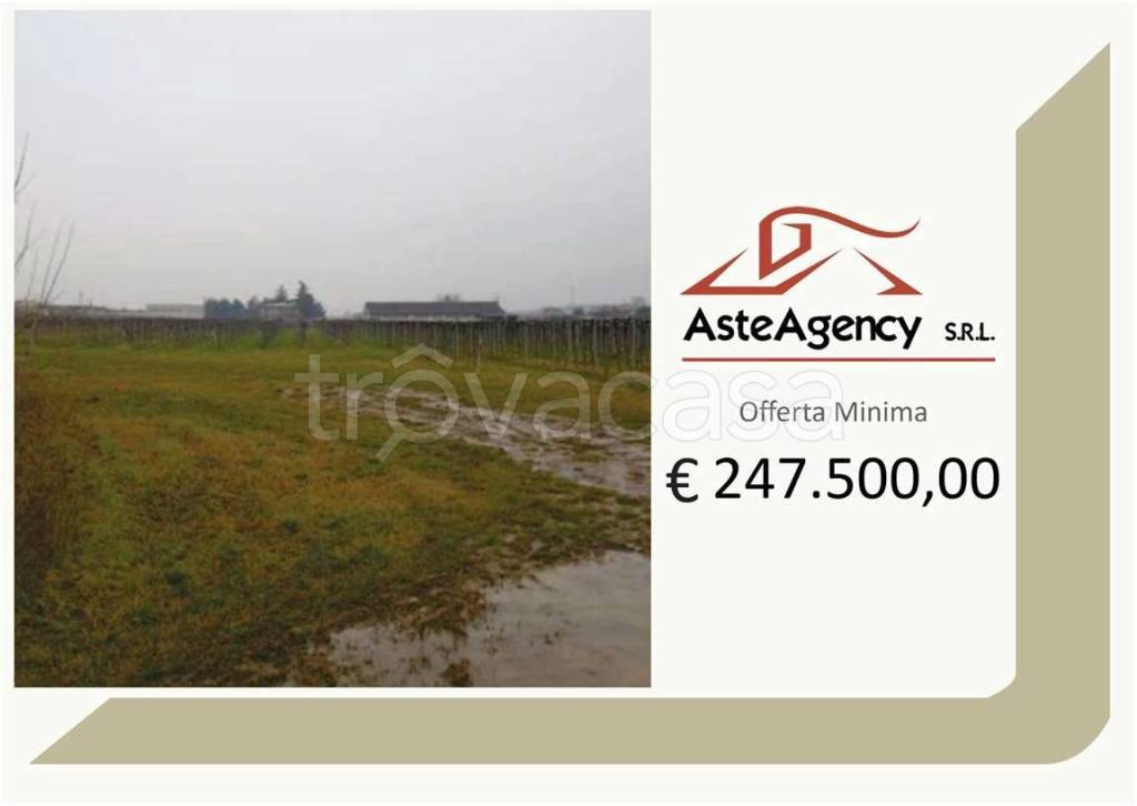 terreno agricolo in vendita a Pescantina