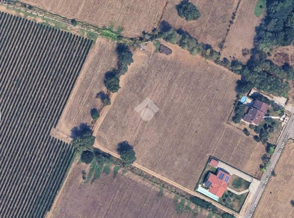 immagine annuncio 0 di 15