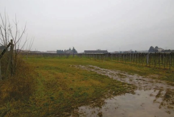 terreno agricolo in vendita a Pescantina