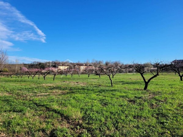 terreno agricolo in vendita a Pescantina in zona Settimo