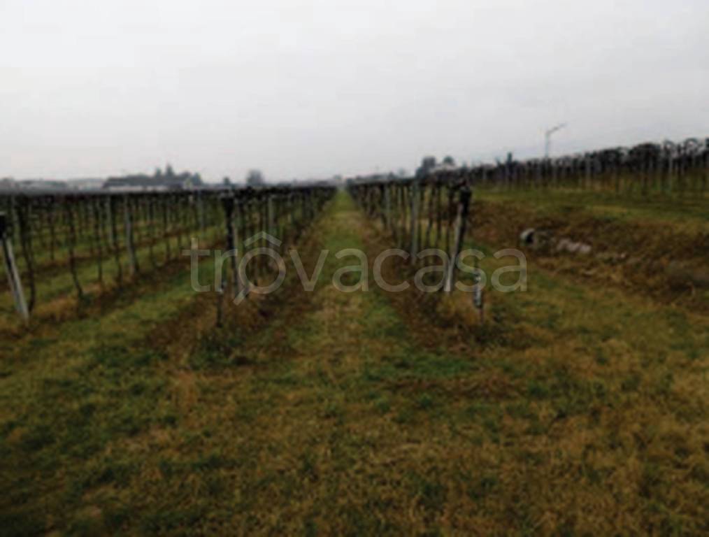 terreno edificabile in vendita a Pescantina