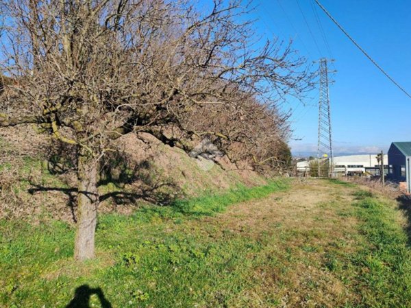 immagine annuncio 0 di 15